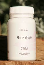 Mariendistel+