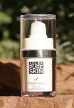 Stem Cell